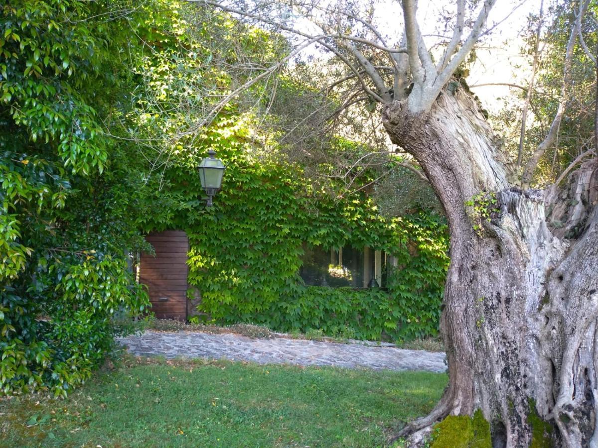 L'Agnata di De André Boutique Hotel Tempio Pausania Extérieur photo